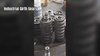 Heavy Duty Girth Gears for Industry