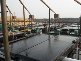 Gravity Separation Ore Dressing Equipment Shaking Table for Mineral and Gold Particle Concentration in Mining Industry