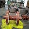Forging Steel  Worm Spur 1000 Torque Capacity Pinion Gear Shaft